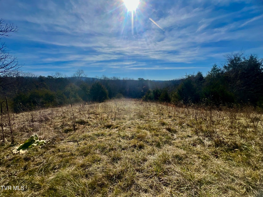 Photo #42: 71/Ac Tbd Smithtown Road