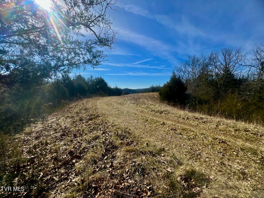 Photo #43: 71/Ac Tbd Smithtown Road