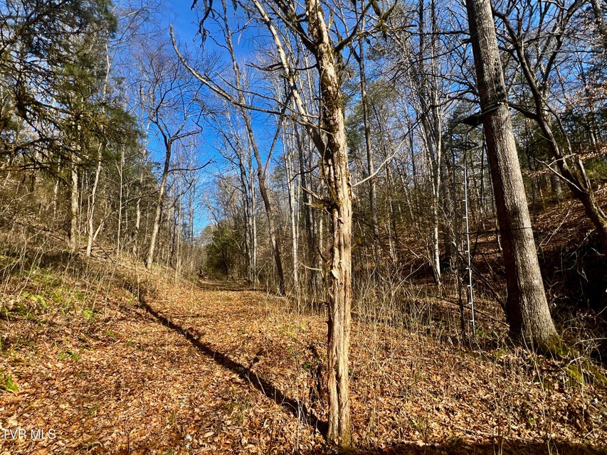 Photo #44: 71/Ac Tbd Smithtown Road