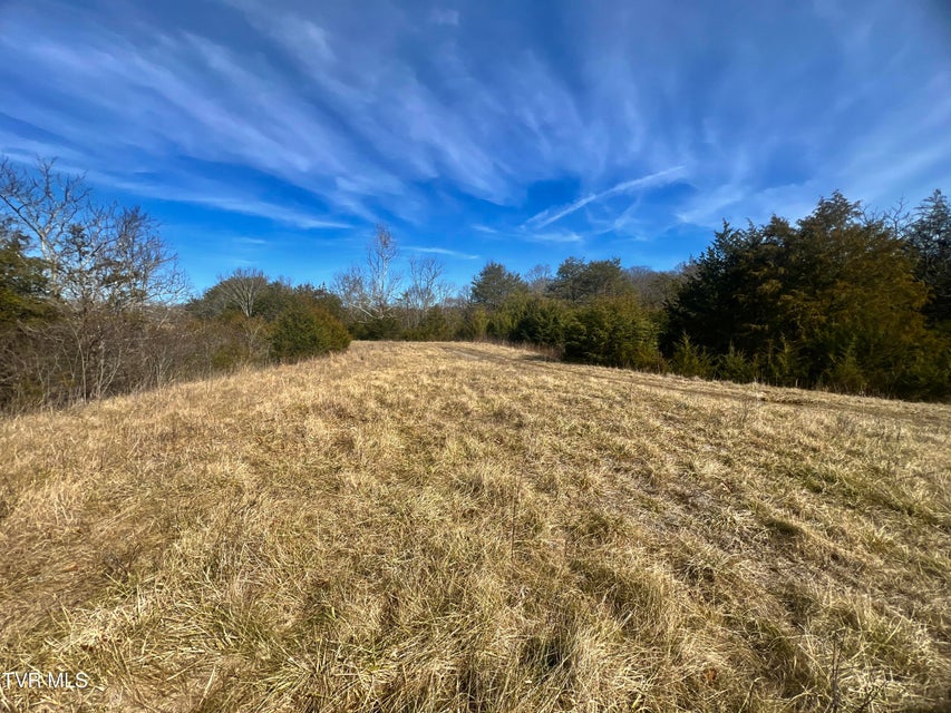 Photo #46: 71/Ac Tbd Smithtown Road