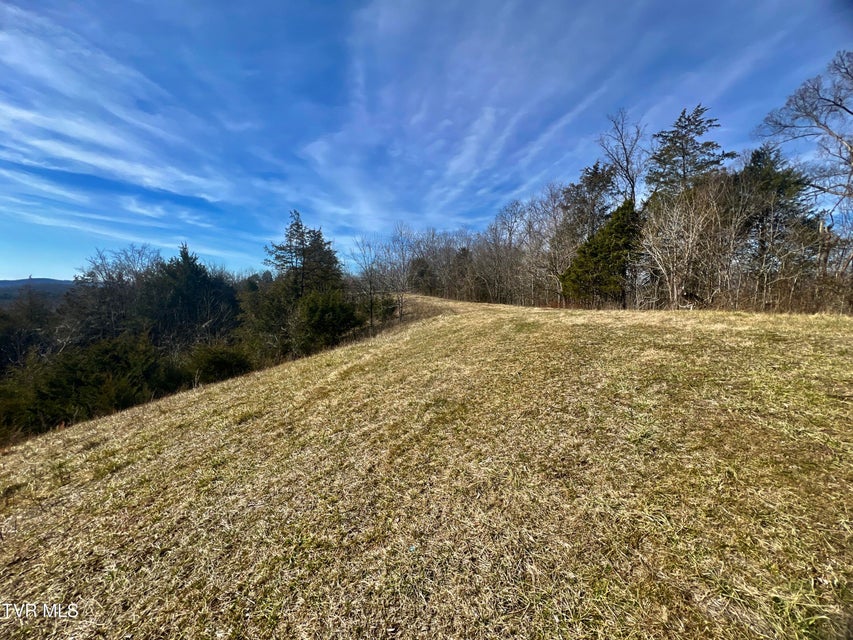 Photo #47: 71/Ac Tbd Smithtown Road