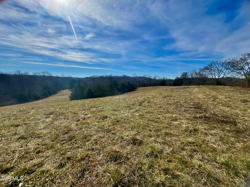 Photo #48: 71/Ac Tbd Smithtown Road
