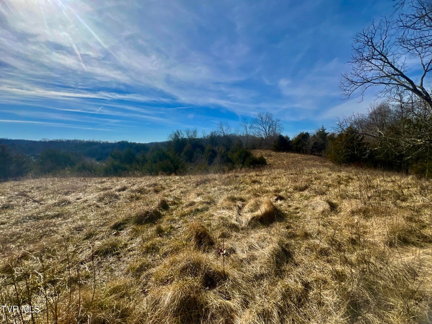Photo #49: 71/Ac Tbd Smithtown Road