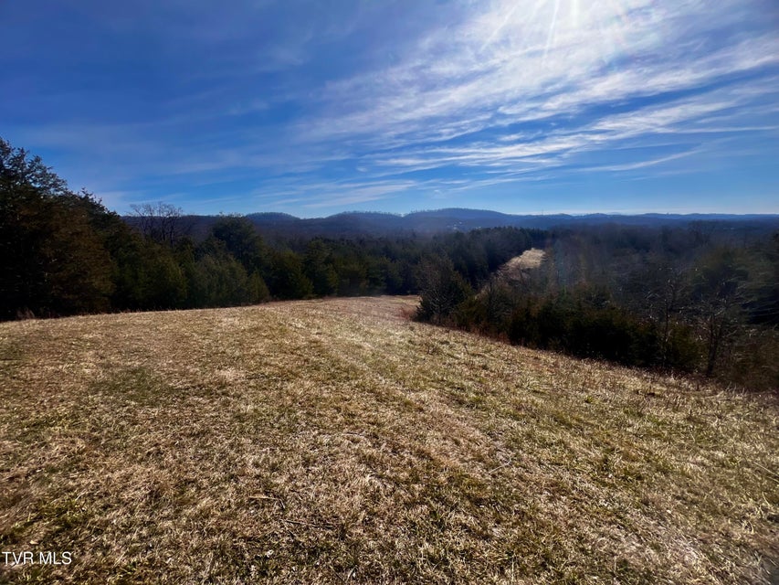 Photo #50: 71/Ac Tbd Smithtown Road