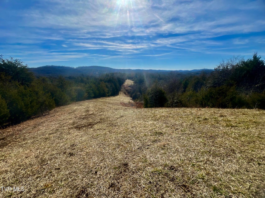 Photo #51: 71/Ac Tbd Smithtown Road