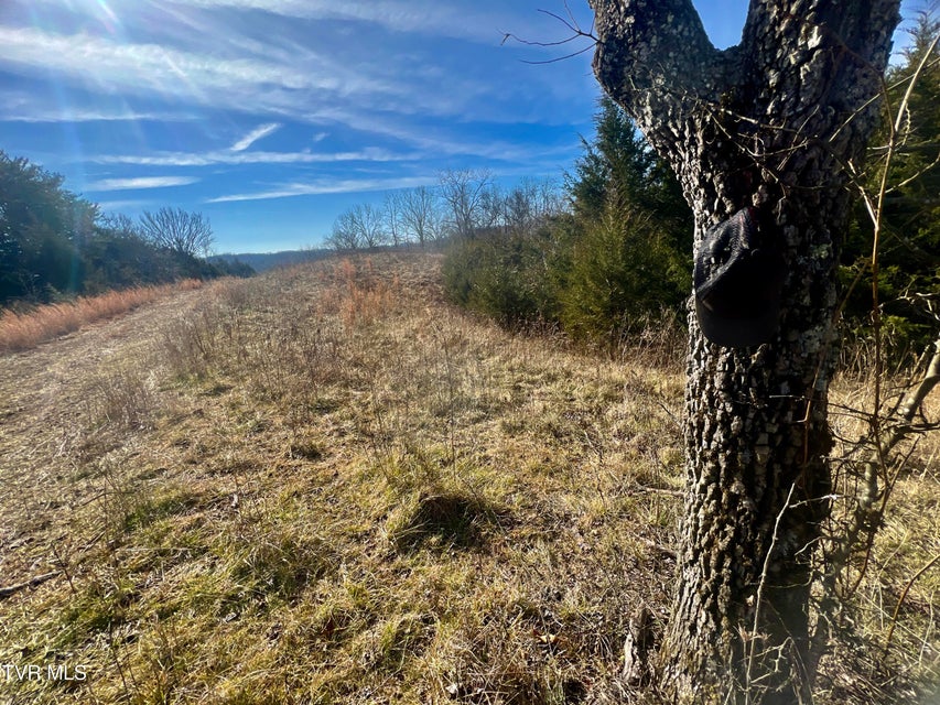 Photo #53: 71/Ac Tbd Smithtown Road