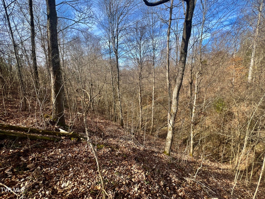 Photo #54: 71/Ac Tbd Smithtown Road