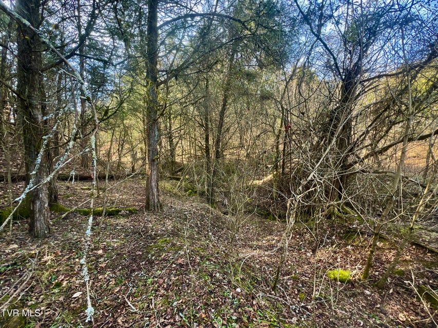 Photo #55: 71/Ac Tbd Smithtown Road