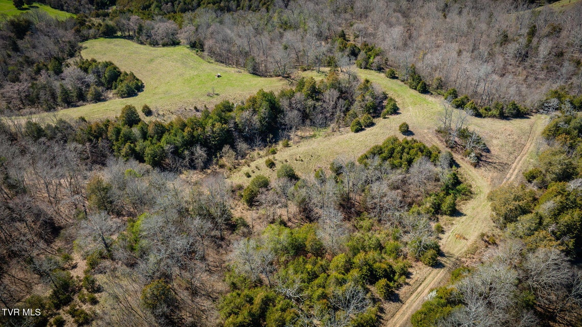 Photo #57: 71/Ac Tbd Smithtown Road