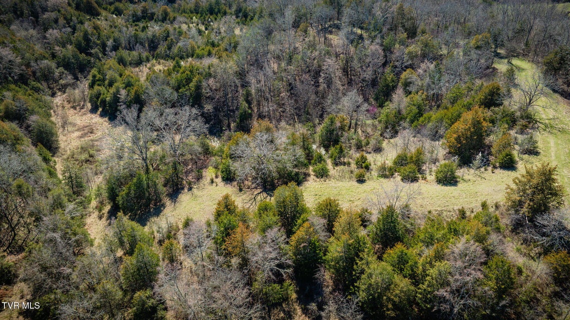Photo #58: 71/Ac Tbd Smithtown Road