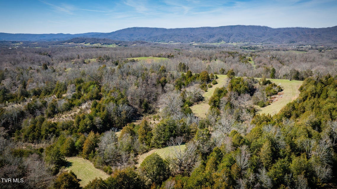 Photo #59: 71/Ac Tbd Smithtown Road