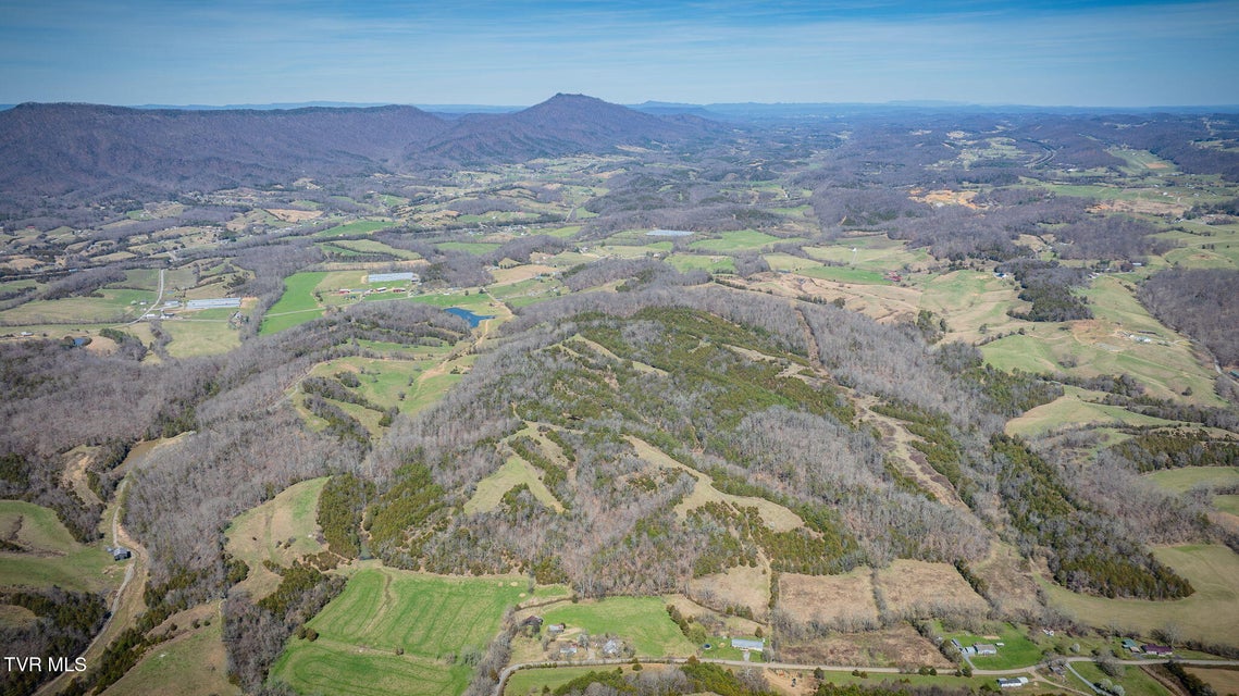 Photo #63: 71/Ac Tbd Smithtown Road
