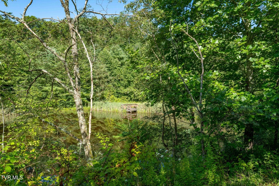 Photo #25: 306 Bear Branch Rd