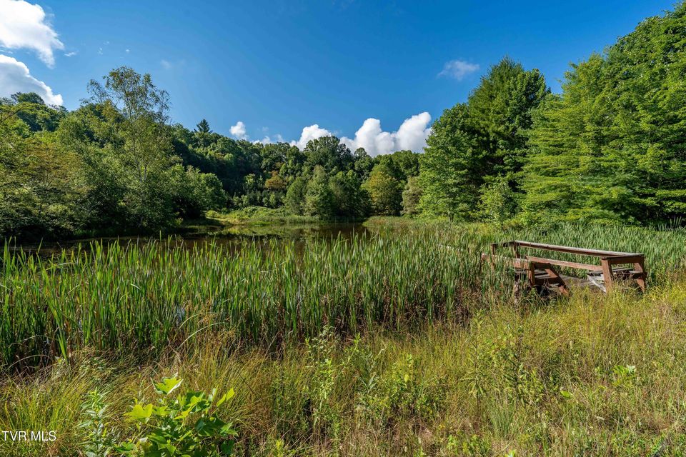 Photo #28: 306 Bear Branch Rd