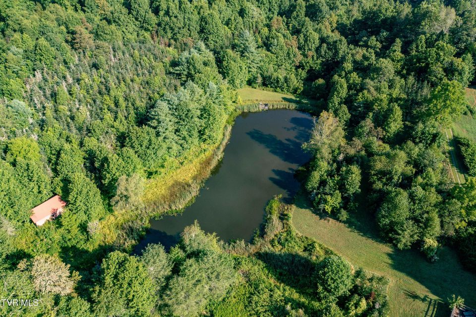 Photo #33: 306 Bear Branch Rd