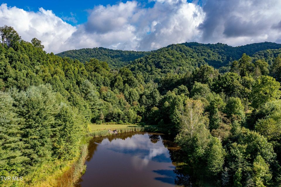Photo #37: 306 Bear Branch Rd
