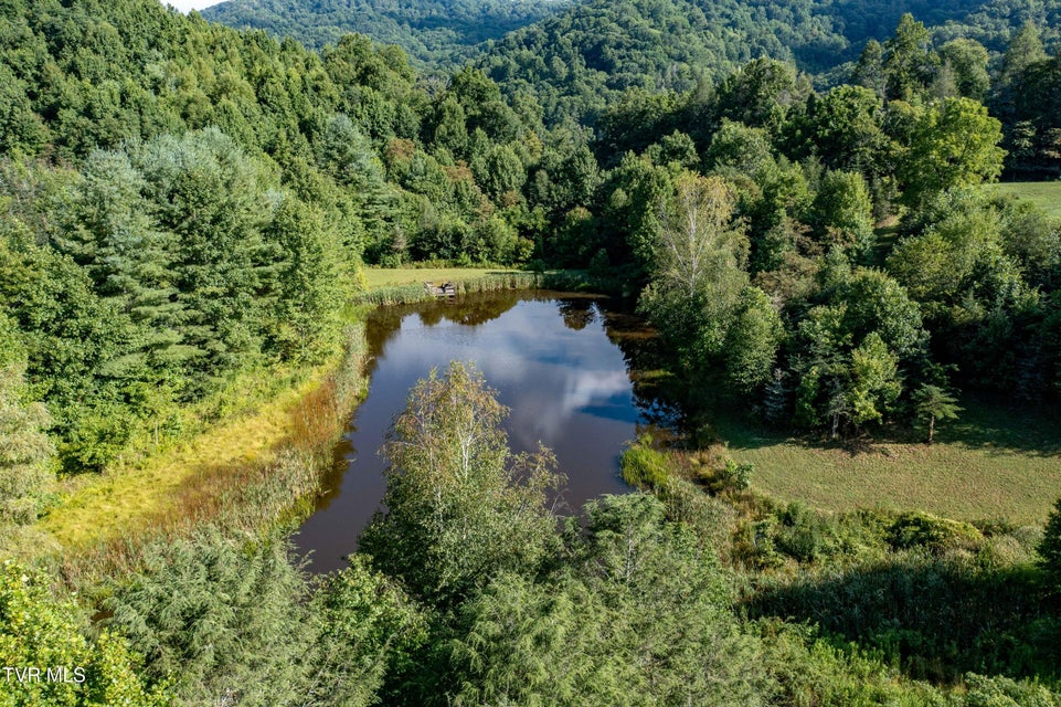 Photo #38: 306 Bear Branch Rd