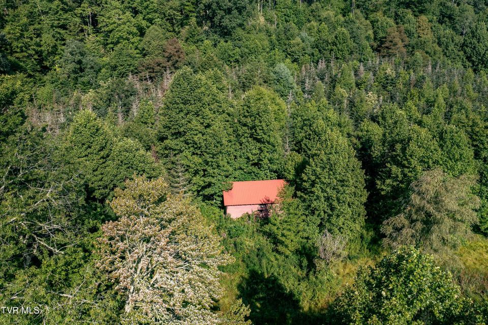 Photo #39: 306 Bear Branch Rd