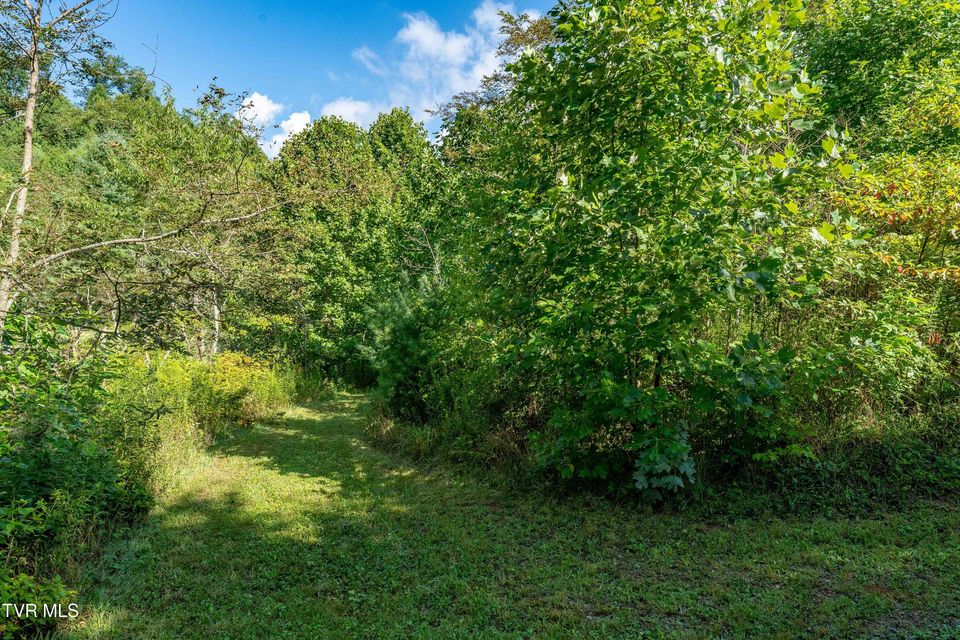 Photo #57: 306 Bear Branch Rd