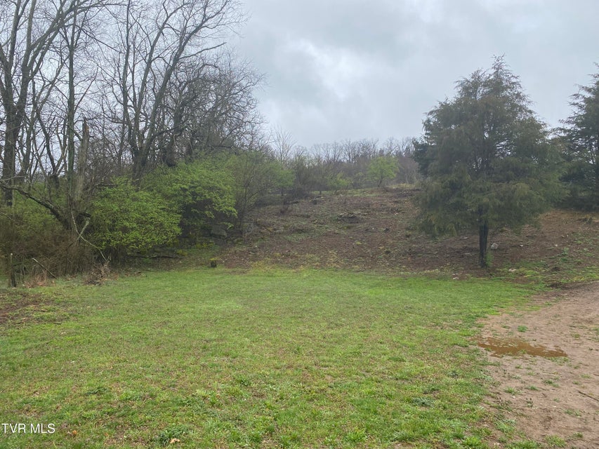 Photo #4: 0 Reedy Creek Road
