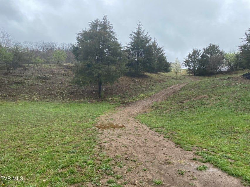 Photo #15: 0 Reedy Creek Road