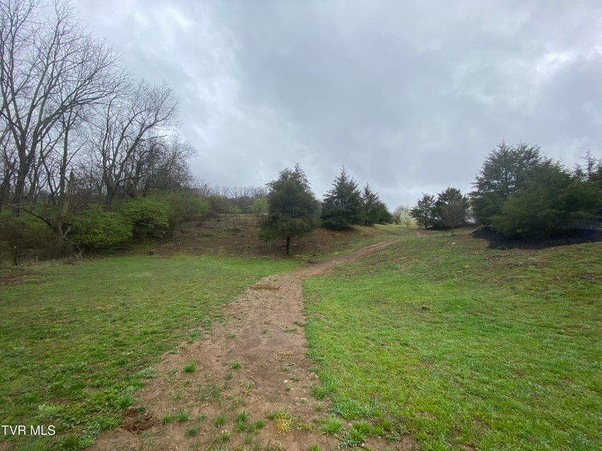 Photo #3: 0 Reedy Creek Road