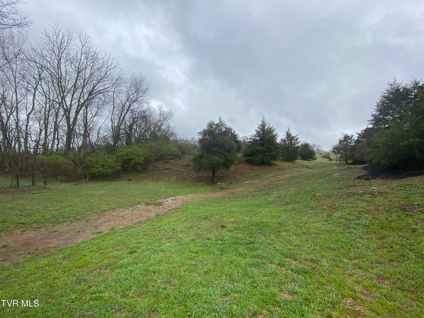 Photo #6: 0 Reedy Creek Road