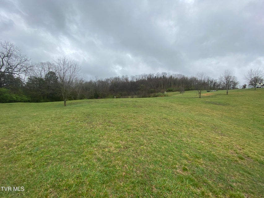 Photo #8: 0 Reedy Creek Road