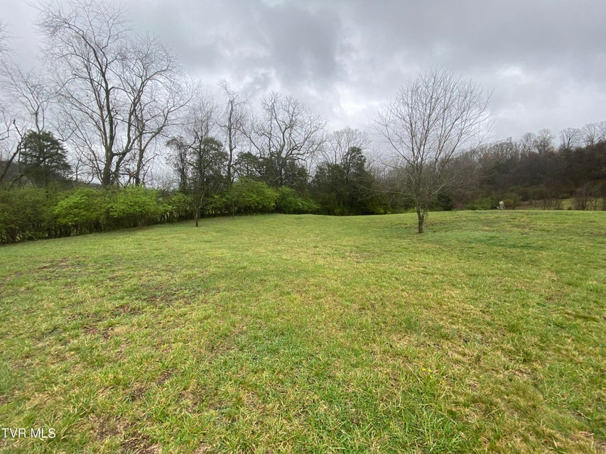 Photo #9: 0 Reedy Creek Road