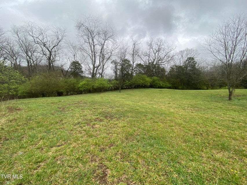 Photo #13: 0 Reedy Creek Road