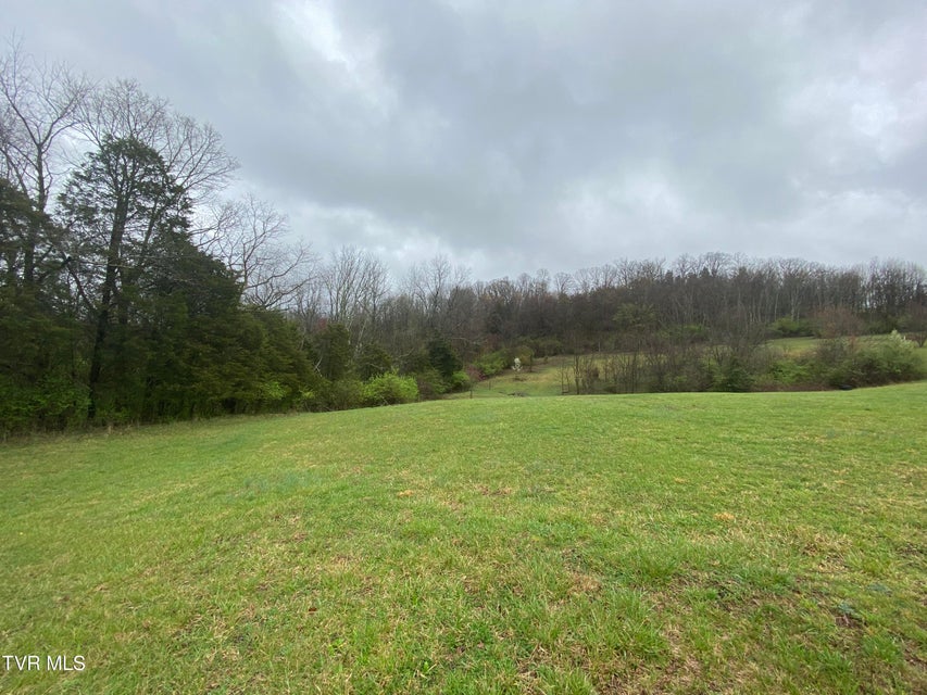 Photo #10: 0 Reedy Creek Road
