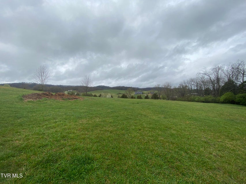 Photo #14: 0 Reedy Creek Road