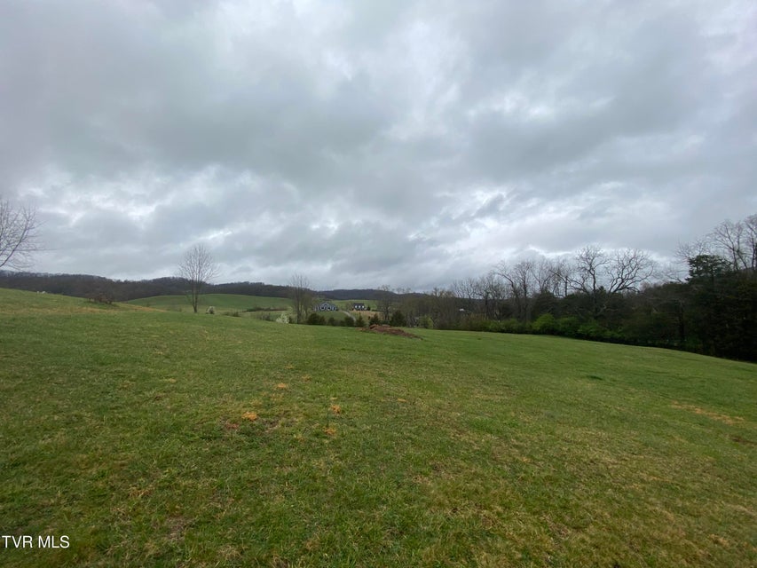 Photo #7: 0 Reedy Creek Road