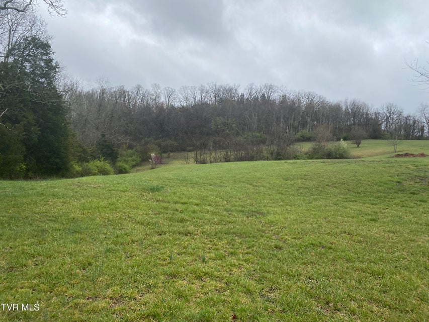 Photo #12: 0 Reedy Creek Road