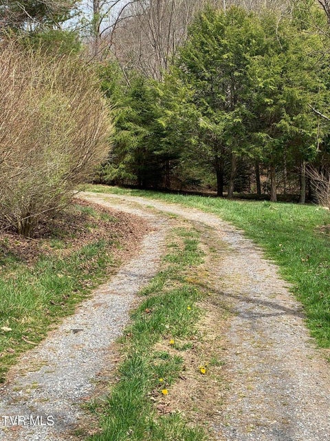 Photo #3: 1269 Conifer Lane Lane