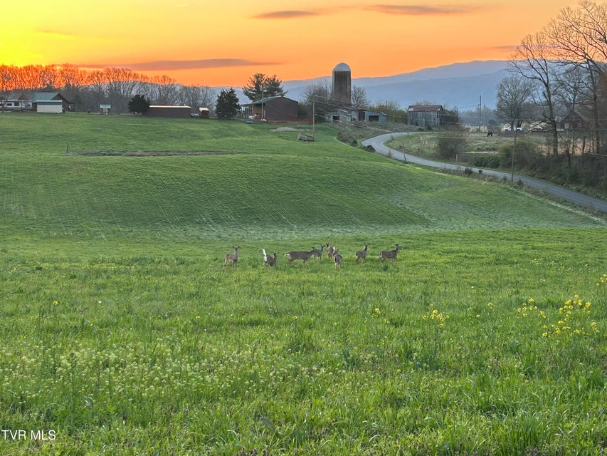 Photo #40: 725 Reece Road