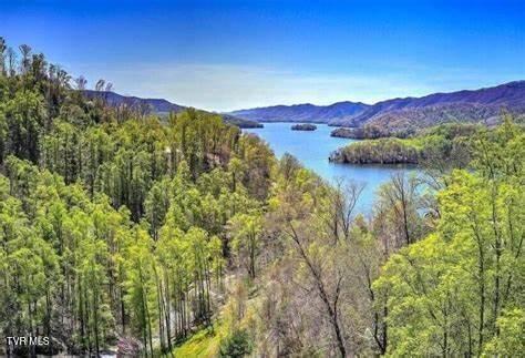 Photo #48: 236 Lakeside Drive