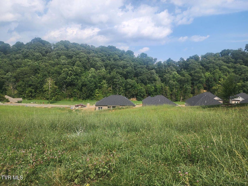 Photo #2: 1633 Prospects Way