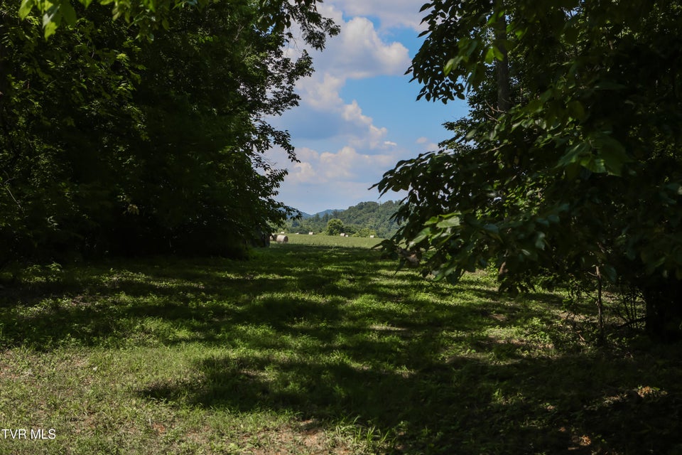 Photo #68: 501 Williams Road