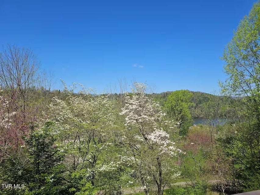 Photo #40: 125 Watauga Overlook Drive