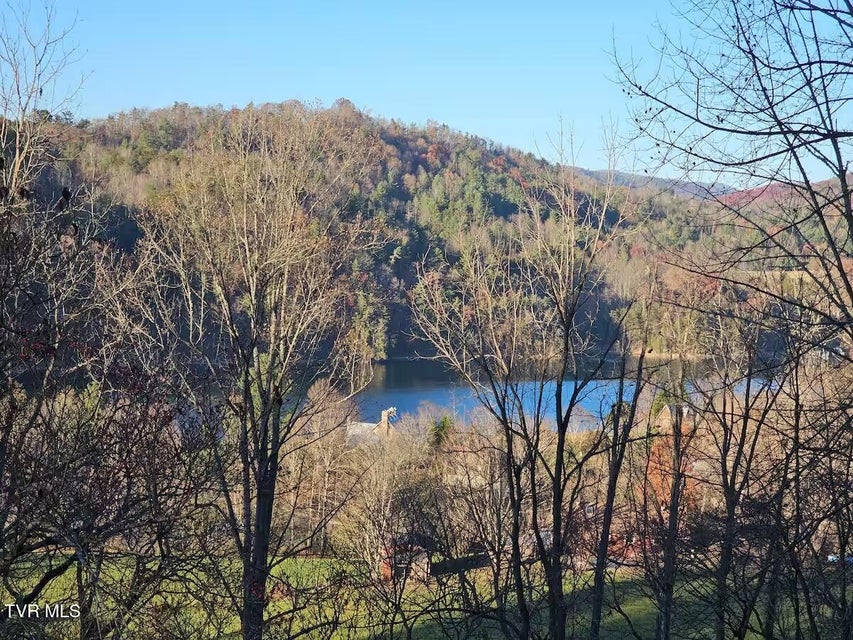 Photo #41: 125 Watauga Overlook Drive