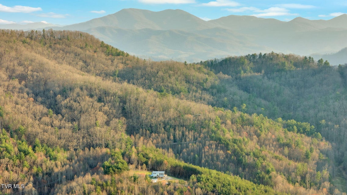 Photo #51: 1098-2 Paint Mountain Road
