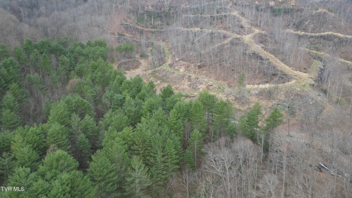Photo #3: Tbd Orby Cantrell Highway