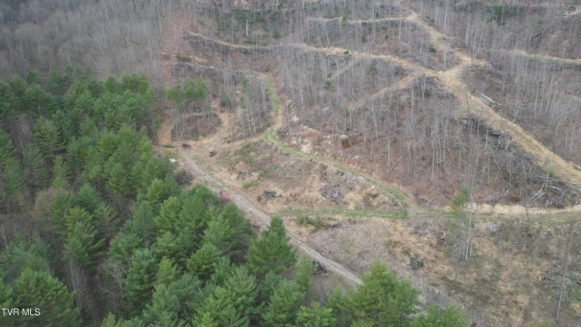 Photo #4: Tbd Orby Cantrell Highway