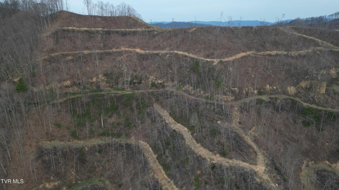 Photo #7: Tbd Orby Cantrell Highway