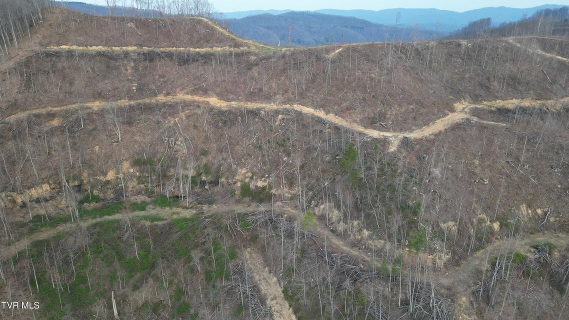 Photo #8: Tbd Orby Cantrell Highway