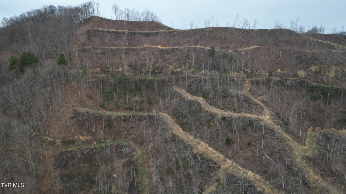 Photo #13: Tbd Orby Cantrell Highway