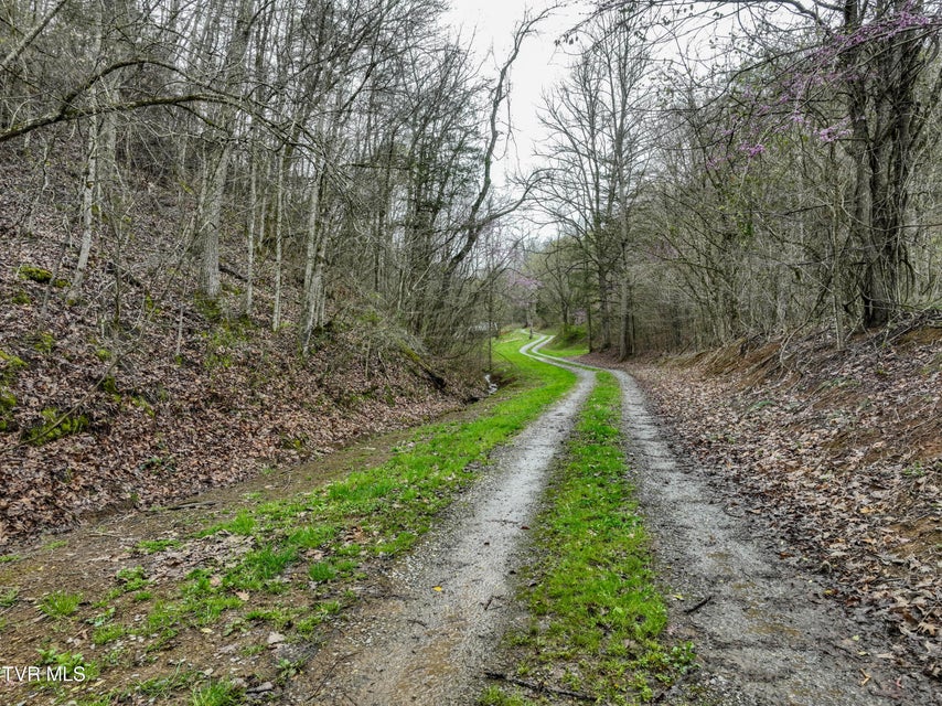 Photo #45: 2461 Summer Way