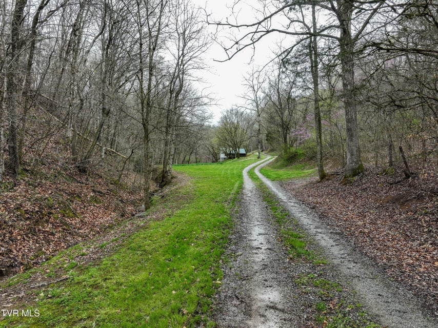 Photo #46: 2461 Summer Way