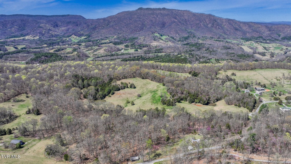 Photo #2: Tbd Pitt Loop